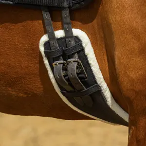 Sangle pour cheval QHP image-2