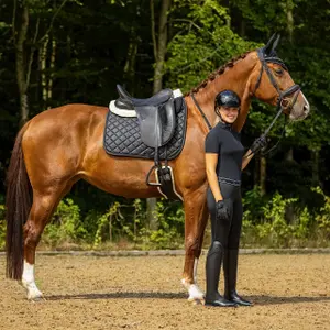 Sangle pour cheval QHP image-4