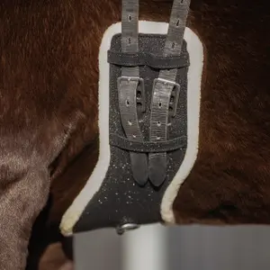 Sangle pour cheval QHP image-5