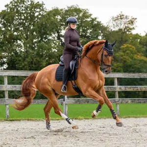 Dressage saddle pad for horses QHP Avenna image-6