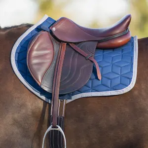 Saddle pad for horses QHP Avyra image-3