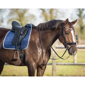 Saddle pad for horses QHP Avyra image-4