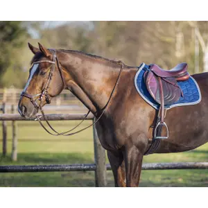 Saddle pad for horses QHP Avyra image-5