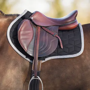 Saddle pad for horses QHP Avyra image-2