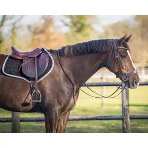 Saddle pad for horses QHP Avyra image-4