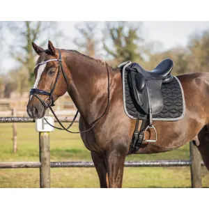 Saddle pad for horses QHP Avyra image-3