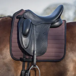 Saddle pad for horses QHP Victorio image-2