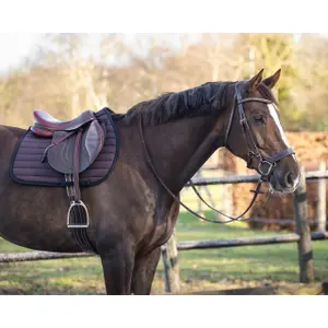 Saddle pad for horses QHP Victorio image-4