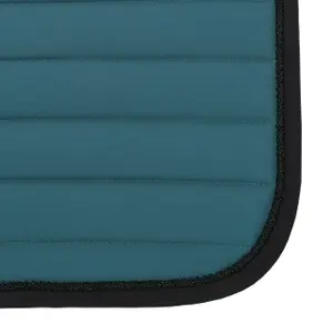 Saddle pad for horses QHP Victorio image-6