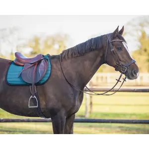 Saddle pad for horses QHP Victorio image-4
