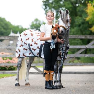 Child's Hobby Horse QHP image-4