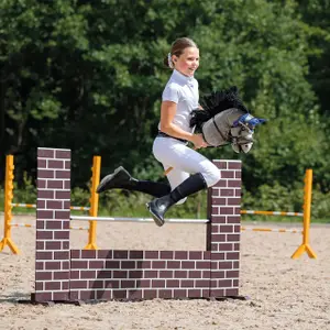 Hobby Pferd für Kinder QHP Martingale image-2