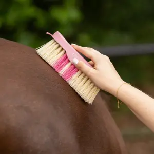 Paardenborstel QHP Lyvia image-0