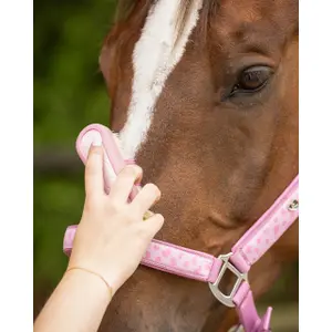 Head brush QHP Lyvia image-1
