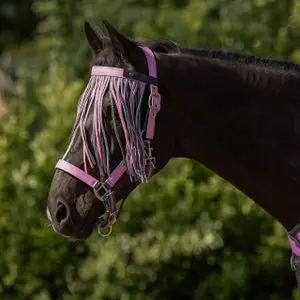 Naczółek przeciw owadom dla koni QHP image-1