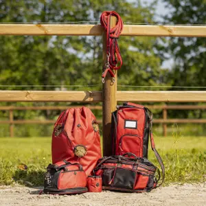 Riding helmet Bag QHP image-2