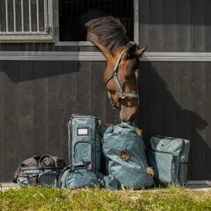 Stable bag QHP image-3