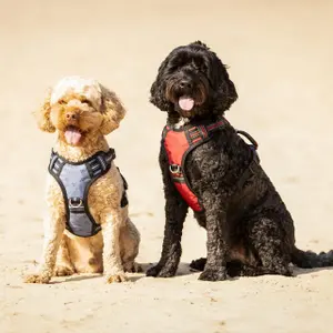 Hondentuig QHP image-2