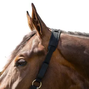 Muzzle for horse with sheepskin headcollar with nostrils QHP image-1