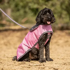 Hondenriem QHP image-3