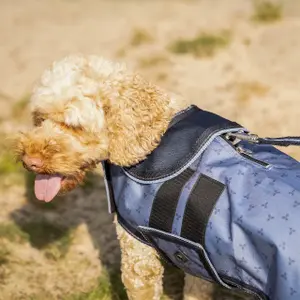 Hondenriem QHP image-2