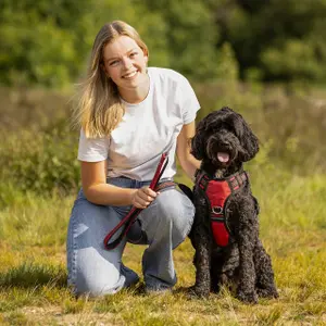 Hondenriem QHP image-2