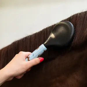 Kit de aseo QHP Stable Buddy image-4