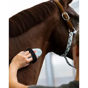 Kit de aseo QHP Stable Buddy image-5