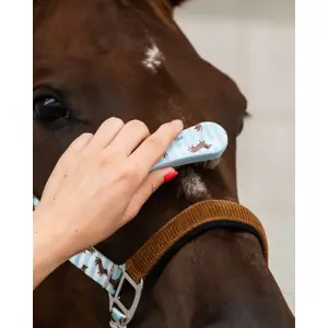 Kit de aseo QHP Stable Buddy image-6