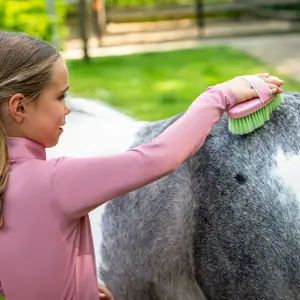 Horse riding grooming kit QHP Lucky Start image-4