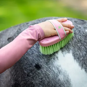 Horse riding grooming kit QHP Lucky Start image-5