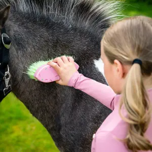 Horse riding grooming kit QHP Lucky Start image-6
