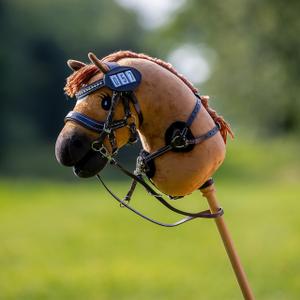 Child's Hobby Horse QHP image-5