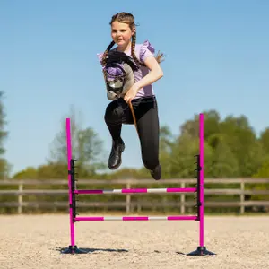 Obstáculo de salto para Hobby Horse QHP image-2