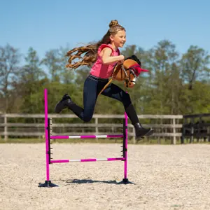 Obstáculo de salto para Hobby Horse QHP image-3