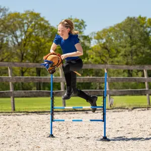 Obstáculo de salto para Hobby Horse QHP image-2