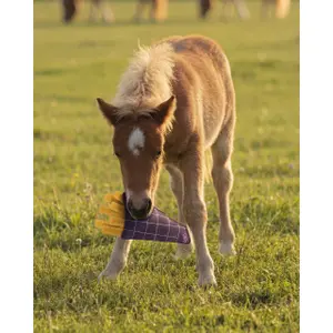 Juguete para caballos QHP Snackcounter image-3