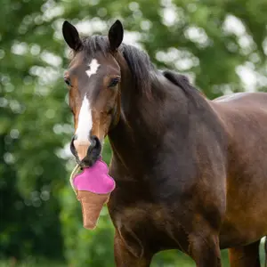 Juguete para caballos QHP Snackcounter image-2