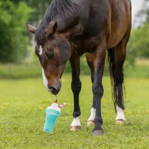 Juguete para caballos QHP Snackcounter image-2