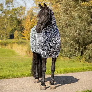 Coperta da esterno per cavallo anti-eccema QHP Big neck image-1