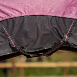 Hästtäcke för utomhusbruk QHP image-3