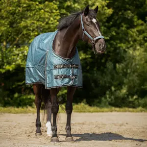 Manta de lã para cavalos QHP image-1