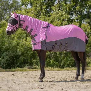 Chemise anti-mouches pour cheval encolure et bonnet QHP
