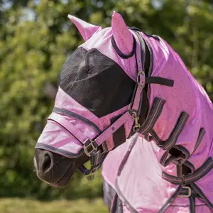Chemise anti-mouches pour cheval encolure et bonnet QHP image-2