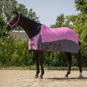 Chemise anti-mouches pour cheval encolure et bonnet QHP image-1