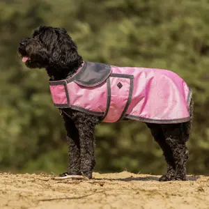 Derka dla psa QHP image-1