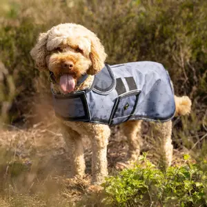 Derka dla psa QHP image-1