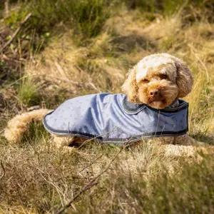 Derka dla psa QHP image-2