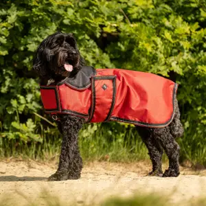 Derka dla psa QHP image-1