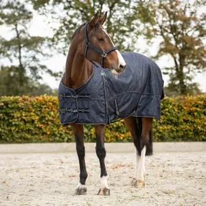 Outdoor  Blanket QHP Collection 300g image-1